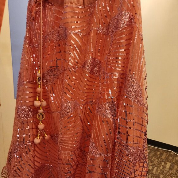 Pink and Silver Indian Lehenga Outfit Size Medium - Picture 4 of 5